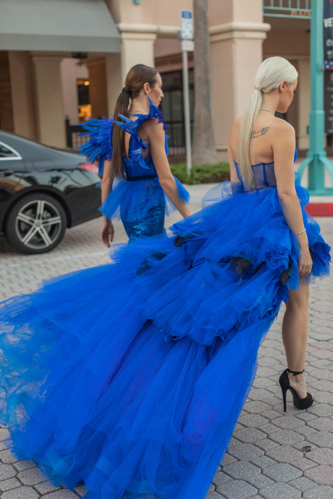 blue feather dress